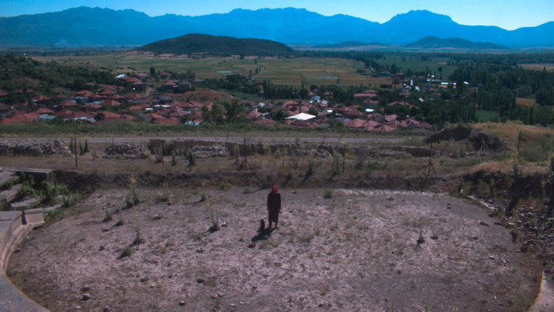 Çiçek still