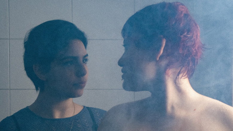 Violetas still