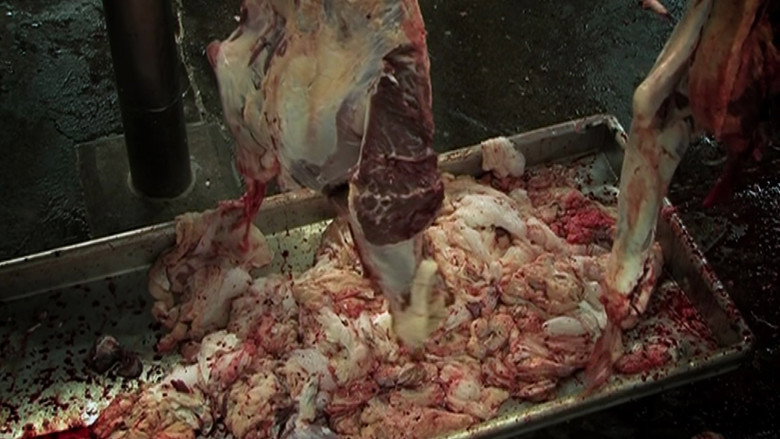 H.O.P.E.: What You Eat Matters still