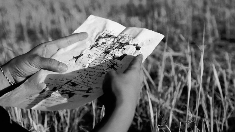 Letters from Shengal still