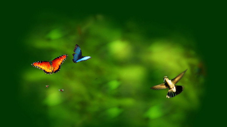 Wings of Life still
