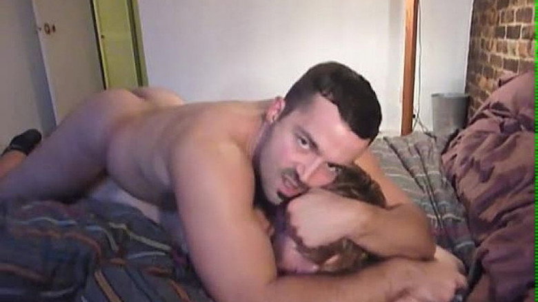 Blue Collar Please . . . Stick It In still