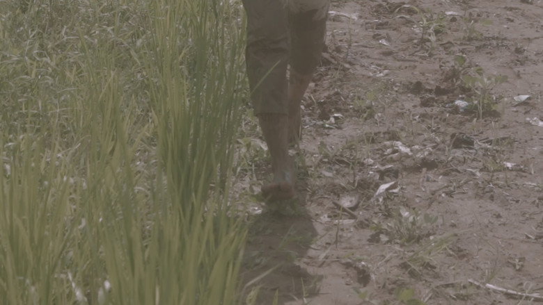 Kite still