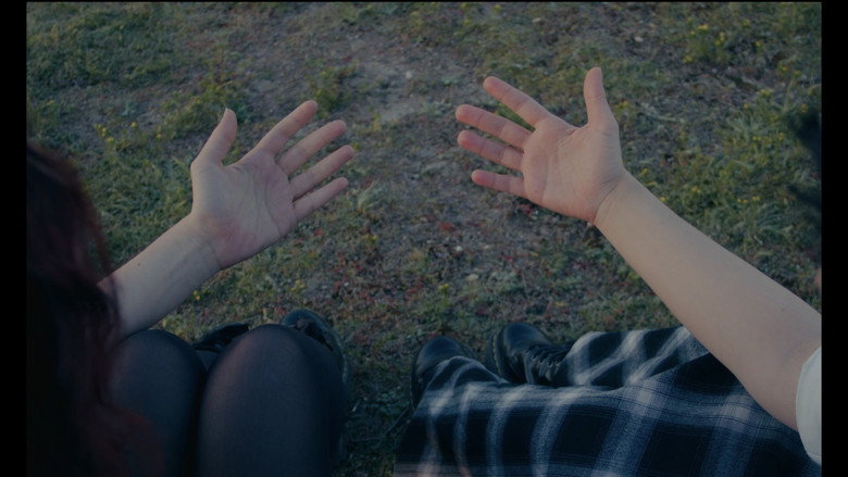 Killerwhale still