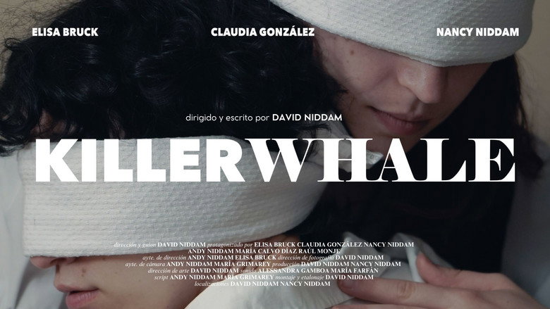 Killerwhale still