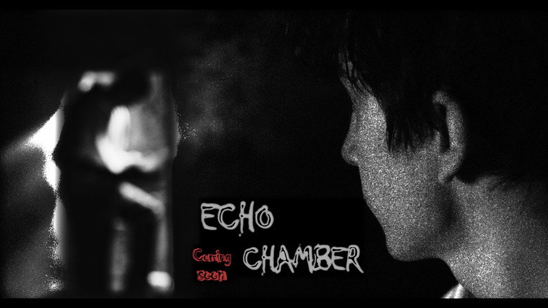 Echo Chamber still