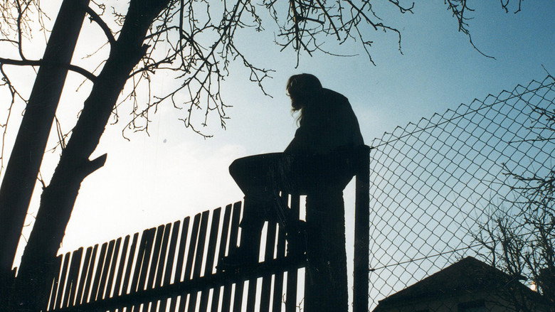 Across the Border: Five Views from Neighbours still