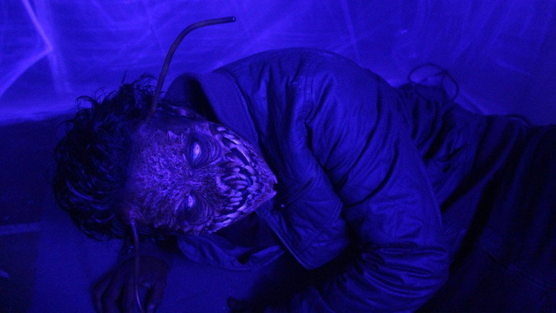 The Metamorphosis Experiment still